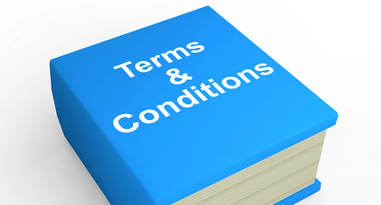 These terms define the rules for using our website and services.